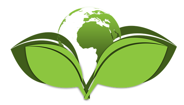 Green-Cleaning--in-Hialeah-Florida-Green-Cleaning-1539512-image
