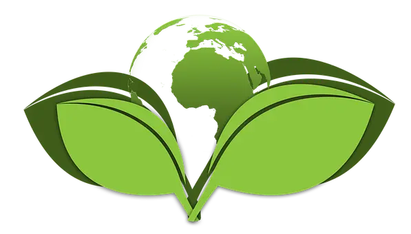 Green-Cleaning--in-Austin-Texas-Green-Cleaning-1539512-image
