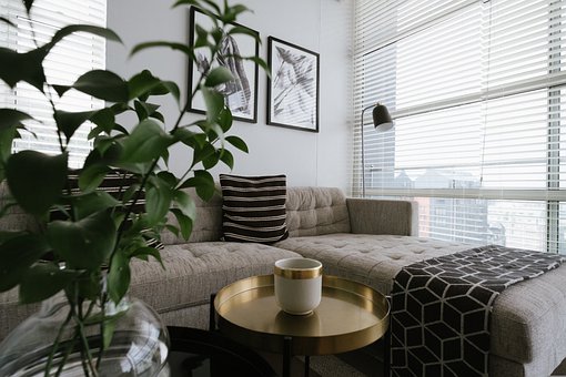 Upholstery-Cleaning--in-Hialeah-Florida-Upholstery-Cleaning-1541998-image