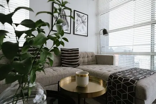 Upholstery-Cleaning--in-Aurora-Colorado-Upholstery-Cleaning-1541998-image