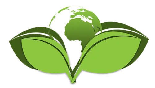 Green-Cleaning--in-Honolulu-Hawaii-green-cleaning-honolulu-hawaii.jpg-image